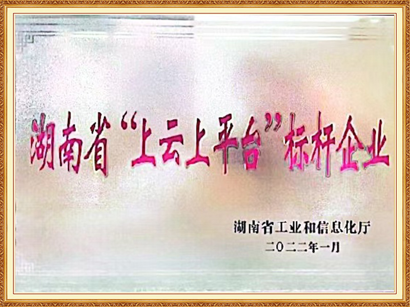 Hunan Province "on the cloud platform" benchmark enterprise